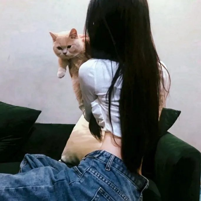 画春功之书中自有颜如玉